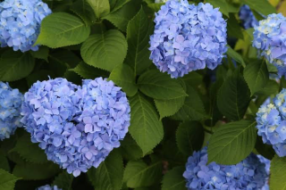 grdr0031204229_0363155429_03-png