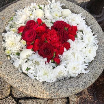 photo_grdr0034213833_0405262712pc-jpg