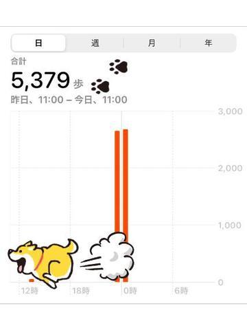 photo_grdr0034213833_0413921052pc-jpg