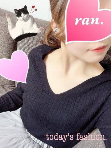 photo_grdr0029795052_0417585763pc-jpg