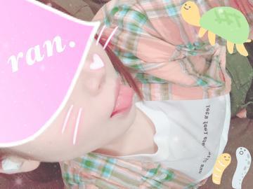 photo_grdr0029795052_0442746682pc-jpg