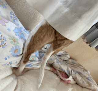 deco_grdr0031110549_0549299664_02_2-png