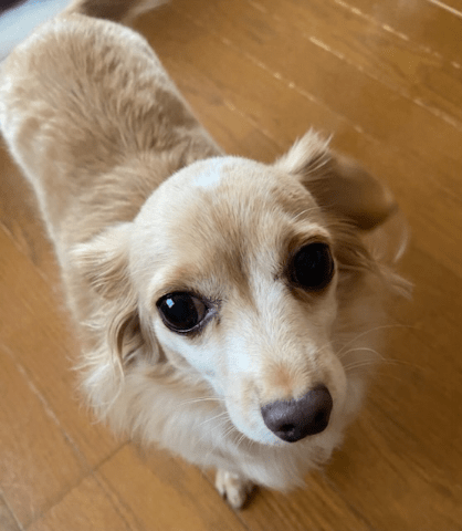 deco_grdr0031110549_0549488987_02_2-png