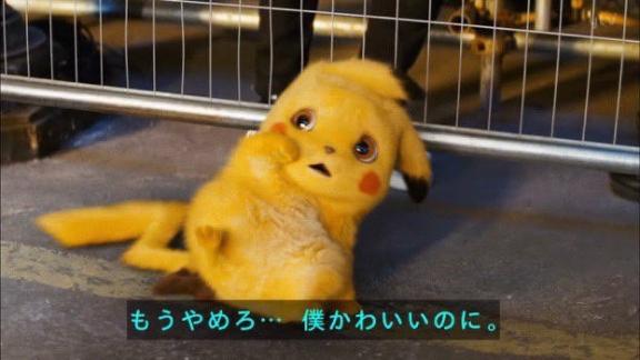 grdr0050811456_0703584910pc-jpg